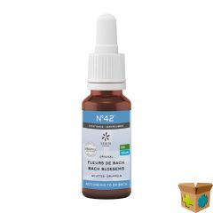 BACHBLOESEM BIO N42 DRUPPELS ZELFVERTROUWEN 20ML