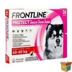 FRONTLINE PROTECT SPOT ON OPL HOND 40-60KG PIPET 3