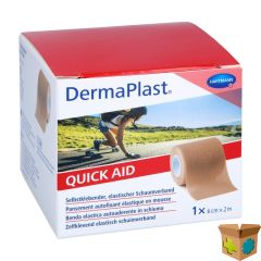DERMAPLAST QUICK AID NUDE 6CMX2M 5500110