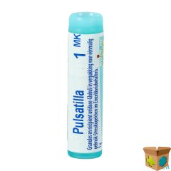 PULSATILLA MK GL BOIRON