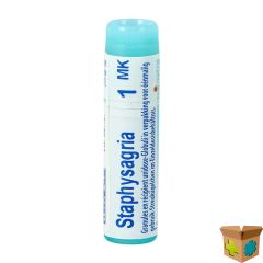 STAPHYSAGRIA MK GL BOIRON