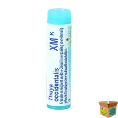 THUYA OCCIDENTALIS XMK GL BOIRON