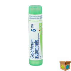 COLCHICUM AUTUMNALE 5CH GR 4G BOIRON