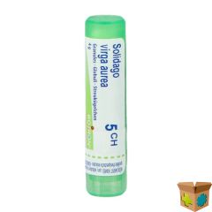 SOLIDAGO VIRGAUREA 5CH GR 4G BOIRON
