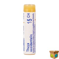 THUYA OCCIDENTALIS 15CH GL BOIRON