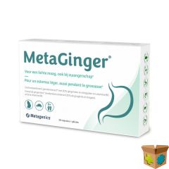 METAGINGER V2 CAPS 30 METAGENICS
