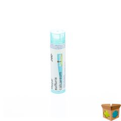 HEPAR SULFURIS CALCAREUM 200K GR 4G BOIRON