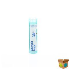 SPONGIA TOSTA 30K GR 4G BOIRON