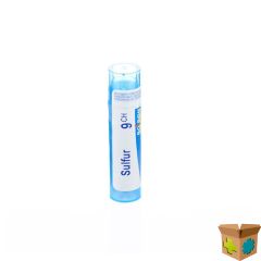 SULFUR 9CH GR 4G BOIRON