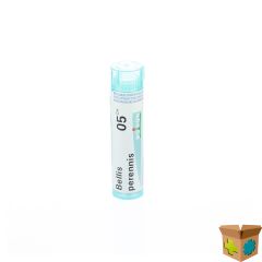 BELLIS PERENNIS 05CH GR 4G BOIRON