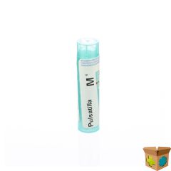 PULSATILLA MK GR 4G BOIRON
