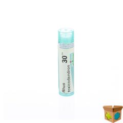 RHUS TOXICODENDRON 30CH GR 4G BOIRON