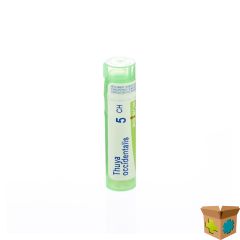 THUYA OCCIDENTALIS 5CH GR 4G BOIRON