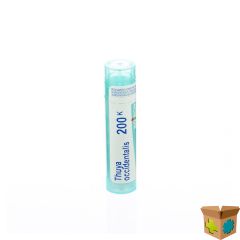 THUYA OCCIDENTALIS 200K GR 4G BOIRON