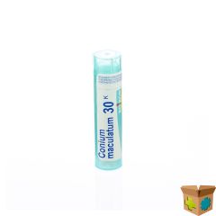 CONIUM MACULATUM 30K GR 4G BOIRON