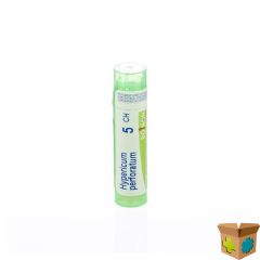 HYPERICUM PERFORATUM 5CH GR 4G BOIRON