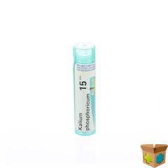 KALIUM PHOSPHORICUM 15CH GR 4G BOIRON