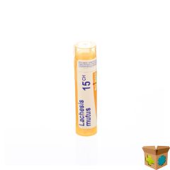 LACHESIS MUTUS 15CH GR 4G BOIRON
