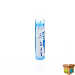 ALLIUM CEPA 9CH GR 4G BOIRON