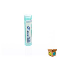 CALCAREA CARBONICA OSTREARUM 200K GR 4G BOIRON