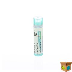 CALCAREA CARBONICA OSTREARUM MK GR 4G BOIRON