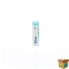 SILICEA MK GL BOIRON