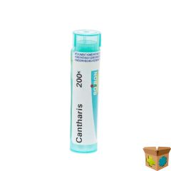 CANTHARIS 200K GR 4G BOIRON