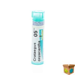 CRATAEGUS OXYACANTHA 5CH GR 4G BOIRON
