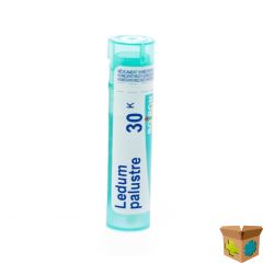 LEDUM PALUSTRE 30K GR 4G BOIRON