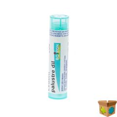 LEDUM PALUSTRE 200K GR 4G BOIRON
