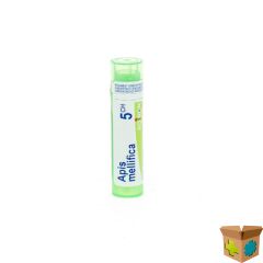 APIS MELLIFICA 5CH GR 4G BOIRON