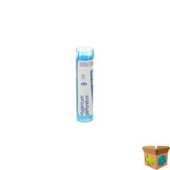 HYPERICUM PERFORATUM 9CH GR 4G BOIRON