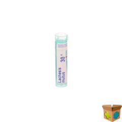 LACHESIS MUTUS 30K GR 4G BOIRON