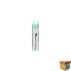 STAPHYSAGRIA 7CH GR 4G BOIRON