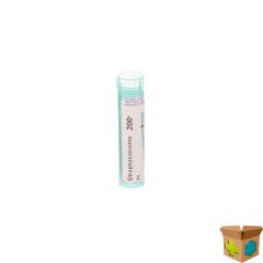STREPTOCOCCINUM 200K GR 4G BOIRON
