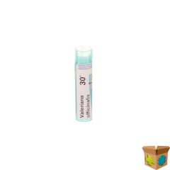 VALERIANA OFFICINALIS 30K GR 4G BOIRON