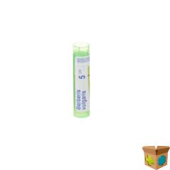 BERBERIS VULGARIS 5CH GR 4G BOIRON