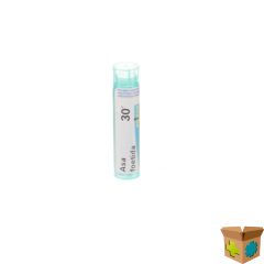 ASA FOETIDA 30K GR 4G BOIRON