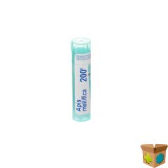 APIS MELLIFICA 200K GR 4G BOIRON
