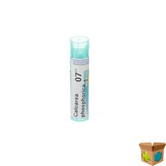 CALCAREA PHOSPHORICA 7CH GR 4G BOIRON