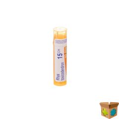 RHUS TOXICODENDRON 15CH GR 4G BOIRON