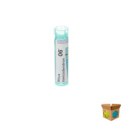 RHUS TOXICODENDRON 6K GR 4G BOIRON