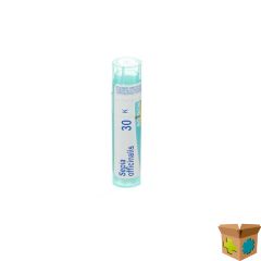 SEPIA OFFICINALIS 30K GR 4G BOIRON