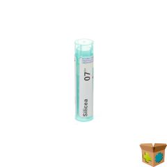 SILICEA 7CH GR 4G BOIRON