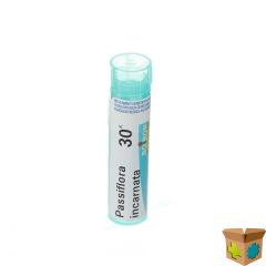 PASSIFLORA INCARNATA 30K GR 4G BOIRON