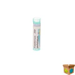 EUPATORIUM PERFOLIATUM 200K GR 4G BOIRON