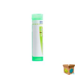 CHAMOMILLA VULGARIS 5CH GR 4G BOIRON