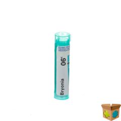 BRYONIA 6K GR 4G BOIRON