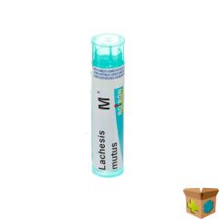 LACHESIS MUTUS MK GR 4G BOIRON