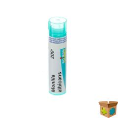 MONILIA ALBICANS 200K GR 4G BOIRON